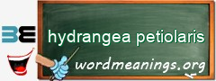 WordMeaning blackboard for hydrangea petiolaris